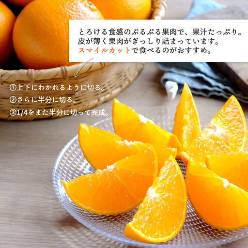 【ご家庭用】甘平×まどんな 7kg「紅プリンセス」と同品種 愛媛果試48【F25-319】【1713698】 YWTAP260