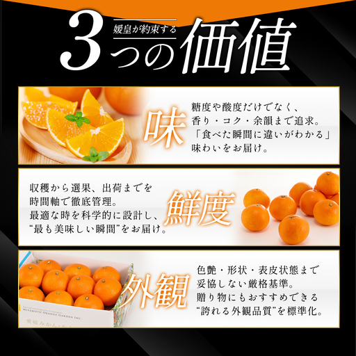 最高級みかん 媛皇 清見 2kg 愛媛県 八幡浜市 西宇和地区 柔らかい果肉【D25-348】【配送不可地域:離島】【1716845】 YWTAP289