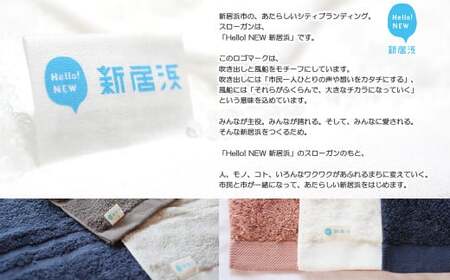 今治タオルブランド バスタオル 10枚 詰め合わせ セット「癒し」シリーズ チャコール 吸水 厚手 【Hello!NEW】