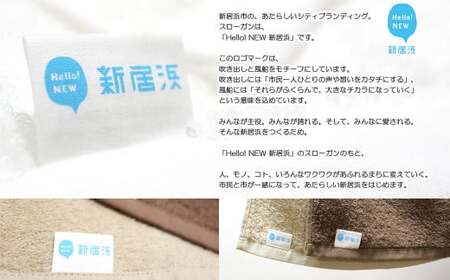 今治タオルブランド 乾きやすい 「速乾」シリーズ 抗菌防臭ミニバスタオル4枚セット （ブラウン＆ベージュ） 【Hello!NEW】