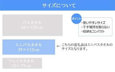 今治タオルブランド 乾きやすい 「速乾」シリーズ 抗菌防臭ミニバスタオル4枚セット （ブラウン＆ベージュ） 【Hello!NEW】