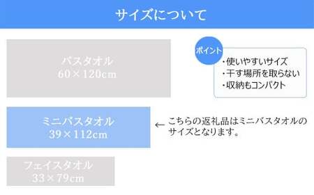 今治タオルブランド 乾きやすい 「速乾」シリーズ 抗菌防臭ミニバスタオル2枚セット (ブラウン&ベージュ) 【Hello!NEW】