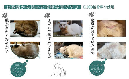 ペット用 犬 猫 全てのペット 日常のお手入れ 様々なお悩みに【あらいはま美容原液】クマ笹主体の希釈用原液 漢方薬局推奨品