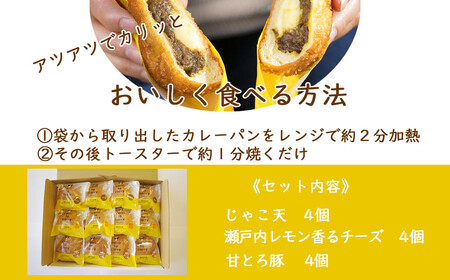 カレーパン グランプリ金賞受賞 カリットカリー 12個（3種×4個) 詰合せ 冷凍 惣菜パン