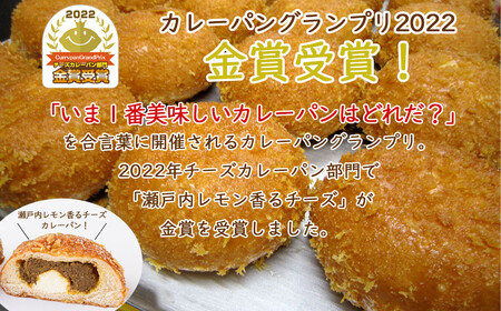 カレーパングランプリ金賞受賞 カリットカリー 6個（3種×2個） 冷凍