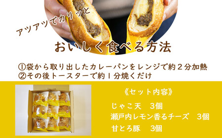 カレーパン グランプリ金賞受賞 カリットカリー 9個（3種×3個） 詰合せ 冷凍 惣菜パン