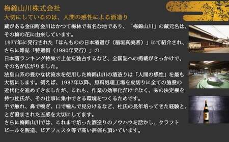 ワイングラスで美味しい日本酒アワード2020 プレミアム大吟醸の部金賞受賞酒 至高の酒セット （720ml×3本） 【石鎚酒造・梅錦山川・八木酒造部】