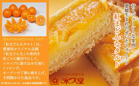 紅まどんなタルト 15個 詰め合わせ セット 愛媛県オリジナル品種 愛媛果試第28号（紅まどんな） 柑橘王国愛媛 永久堂