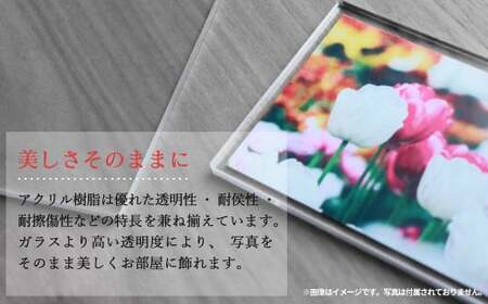 インテリア アクリルフレーム （フォトフレーム） L判 3セット 写真立て シンプル