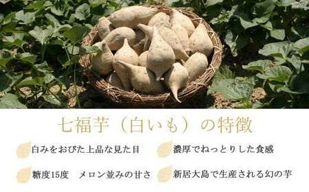 愛媛県新居大島産 七福芋（白いも）コロッケ（15個入り） 冷凍 幻のさつまいも