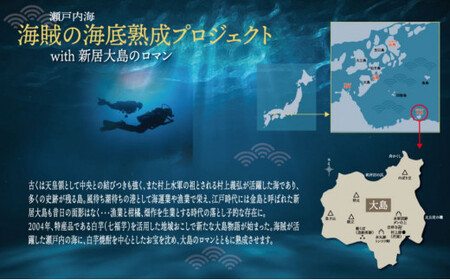 【数量限定】海底熟成酒 金賞受賞の純米酒「華姫桜」飲み比べ2本セット(海底熟成酒720ml・通常品720ml)