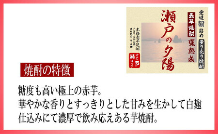 芋焼酎 家飲み「赤芋・瀬戸の夕陽」10L【愛媛朝詰め】量り売り焼酎 かめ貯蔵 居酒屋風 マイサーバー