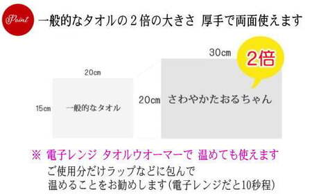 抗菌 消臭 保湿 ウェットタオル 大判（20cm×30cm）厚手 さわやかたおるちゃん（32枚入×30個） 合計960枚【SPC】