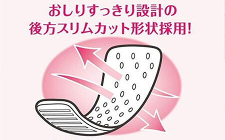 サラサーティSARA・LI・E（さらりえ）72個×5袋セット（ナチュラルリネンの香り） サラリエ 【小林製薬】 生理用品 おりものシート