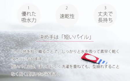 今治タオルブランド 乾きやすい 「速乾」シリーズ　フェイスタオル 10枚セット（ブラウン） 【Hello!NEW】