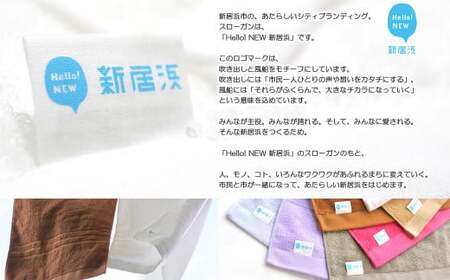 今治タオルブランド 乾きやすい 「速乾」シリーズ　フェイスタオル 3枚セット（キャメル） 【Hello!NEW】