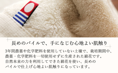 今治タオルブランド バスタオル 10枚セット MAMMA オーガニック 日本製  【５SECONDS】   