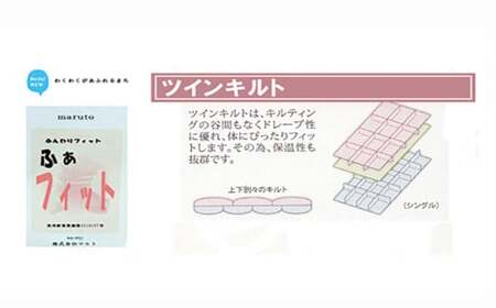 羽毛布団 掛布団 ダブル （G-08） フランス産ホワイトダウン93％ ツインキルト2層式 抗菌 防臭