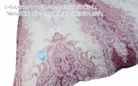 羽毛布団 掛布団 ダブル （G-08） フランス産ホワイトダウン93％ ツインキルト2層式 抗菌 防臭