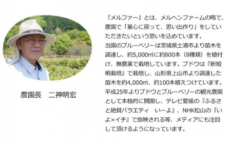 完熟手作りブルーベリージャム（180g入）6瓶セット　メルファーふたがみ