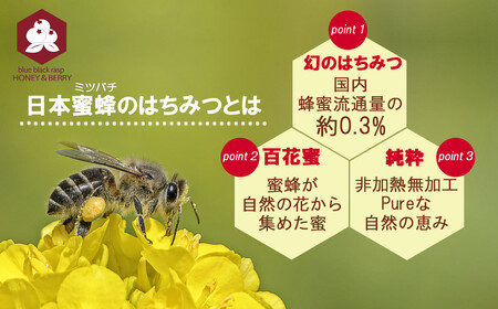 日本蜜蜂 100% 純粋 はちみつ 非加熱 240g×1 希少 国産 蜂蜜 ハチミツ