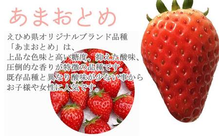いちご 「あまおとめ」 または 「紅い雫」 約400g  ichigo okabe 【期間限定】【3月頃より発送】