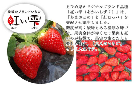 いちご 「あまおとめ」 または 「紅い雫」 約400g  ichigo okabe 【期間限定】【3月頃より発送】