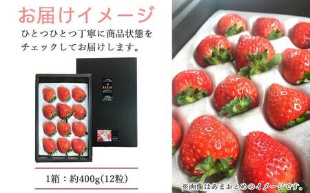 いちご 「あまおとめ」 または 「紅い雫」 約400g  ichigo okabe 【期間限定】【3月頃より発送】