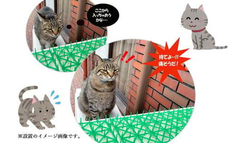 猫よけ シート グリーン 15枚 セット ザ．ストップネコ（大判） 防鳥 防獣 日用品 ガーデニング DIY 【鈴木樹脂工業】
