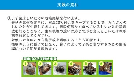 食べられる！学べる！しいたけ栽培+環境ホルモン分解模擬実験キット