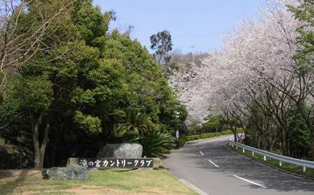 滝の宮カントリークラブ 平日1名様×4 利用券(キャディ付) 【ゴルフ場 プレー券】