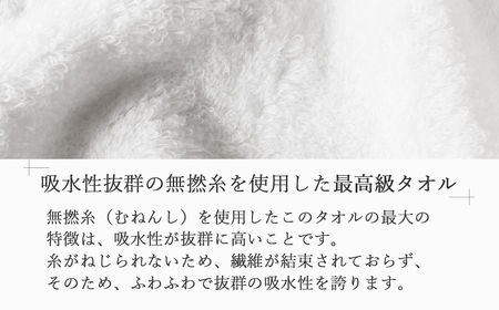 今治タオルブランド バスタオル ２枚 ギフトセット TOKIMEKIシリーズ （オフホワイト） 【５SECONDS】 