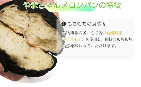 メロンパン 6種 食べ比べ 合計8個  冷凍