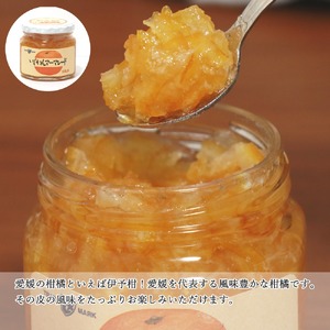 愛媛県産フルーツジャム（せとか・伊予柑）2種食べ比べセット（270g×6瓶） みきゃんの列車箱入り　ギフトにも最適　愛媛果汁食品