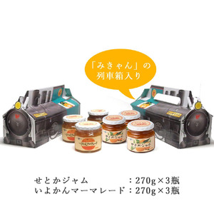 愛媛県産フルーツジャム（せとか・伊予柑）2種食べ比べセット（270g×6瓶） みきゃんの列車箱入り　ギフトにも最適　愛媛果汁食品