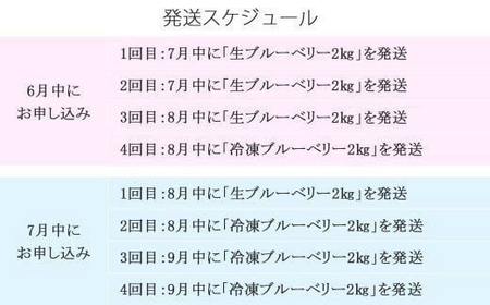 ふるさと納税 愛媛県 新居浜市  ブルーベリー三昧 Aセット（約8.5kg／4回発送） 完熟生ブルーベリー（8月中旬以降は冷凍ブルーベリー） エコえひめ… 定期便 ブルーベリー三昧 Aセット（約8kg／4回発送） 完熟生