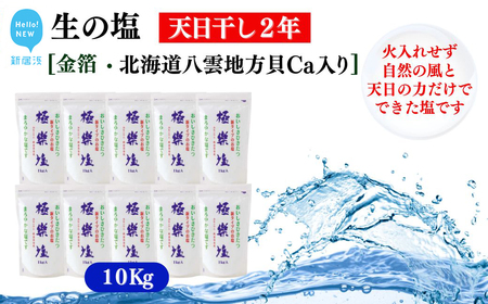 天日干し２年 火入れしない生の塩 「極楽塩」 1kg×10袋 金箔 貝カルシウム入り 食べる楽しさを極め 食塩 食卓塩 海塩 調味料
