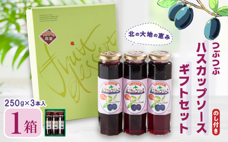 【のし付き】【北の大地の恵み】つぶつぶハスカップソース　ギフトセット　250g×3本_調味料   _【1023465】