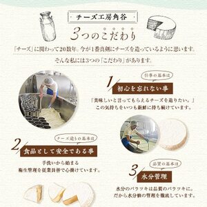 【2ヵ月毎定期便】高評価! 角谷 カマンベールチーズセット【125g×4個】全3回_卵・乳製品 チーズ    定期便 定期便  _【配送不可地域：離島】【4013939】