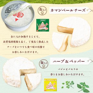 角谷 カマンベールチーズセット【125g×4個】【1062701】