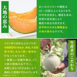 【2026年発送】おいわけメロン 糖度16度以上 2.0kg以上×1玉(数量限定)_果物・フルーツ メロン  めろん_【1102196】