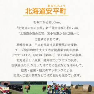 【2026年発送】おいわけメロン 糖度16度以上 2.0kg以上×1玉(数量限定)_果物・フルーツ メロン  めろん_【1102196】