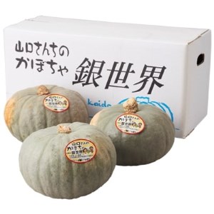 【2021年発送】山口さんのかぼちゃ 銀世界 7玉入り【1102221】