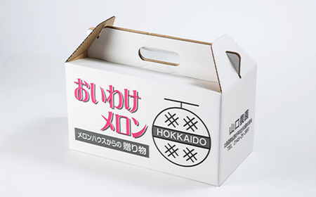 【2025年発送】おいわけメロンパック 糖度16度以上 1.4kg前後×3玉(数量限定)【1137369】