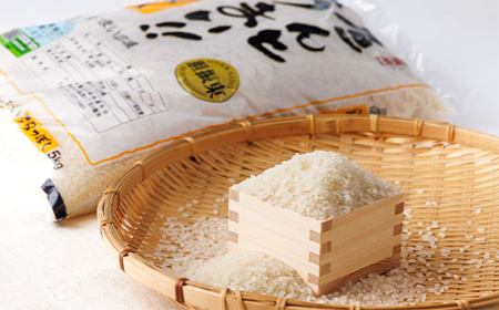 【令和7年産】たんとうまい ななつぼし 5kg 【JAとまこまい広域取扱 安平町特産品】_ ななつぼし 米 _【1340412】