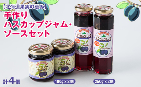 【北海道果実の恵み】手作りハスカップジャム・ソース4本セット_惣菜・加工品 ジャム 缶詰・瓶詰 _【1430909】