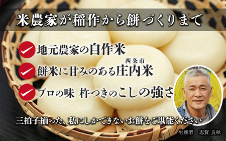 【先行予約】 「 迎春用 杵つき餅 （50個）」 丸餅 平餅 西条市 庄内米 正月用 ※12/24～25に出荷予定