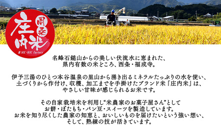 【先行予約】 「 迎春用 杵つき餅 （50個）」 丸餅 平餅 西条市 庄内米 正月用 ※12/24～25に出荷予定