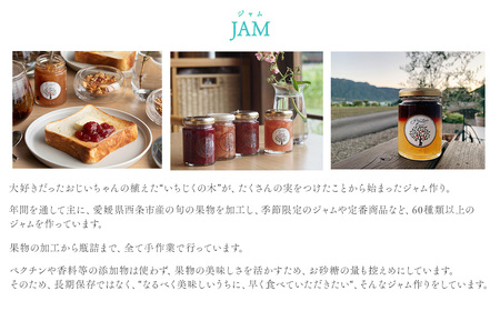 フルーツジャム3個セット|ジャム グランパスツリー