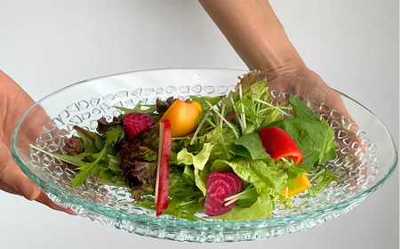 「フリット楕円浅鉢 （L）」 ｜ お皿 ガラス製品 ミラーズウサ